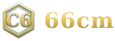 66cm logo